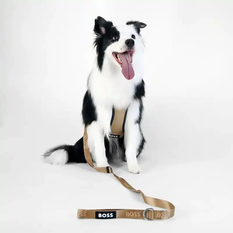 BOSS Dog Essentials Leash