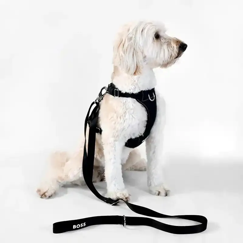 BOSS Dog Essentials Leash