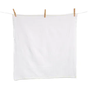 Cloth-eez Flat Birdseye Diapers - Classic White