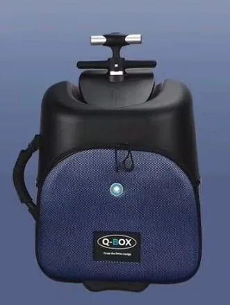 Travel Tale High Quality And Convenient Kids Scooter Suitcase Lazy Carry On Rolling Luggage Ride On